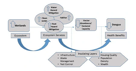 community-support-and-ecosystem