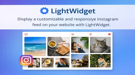 LightWidget