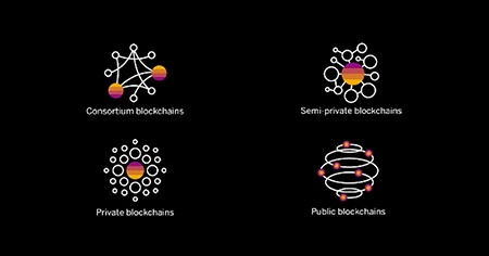 blockchain-networks