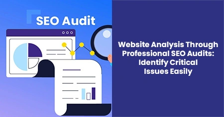 professional-seo-audits